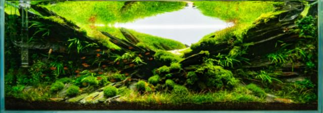 weisser Hintergrund