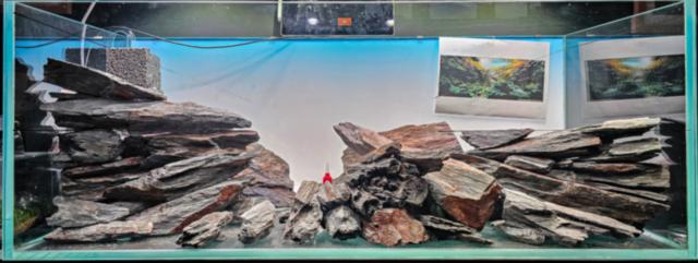 Hardscape