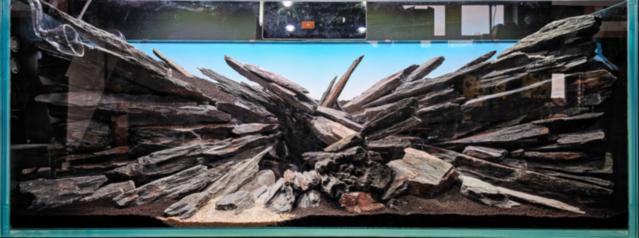 Hardscape - Fabian Beck