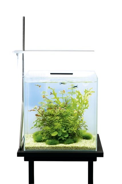 DOOA System Aqua 30
