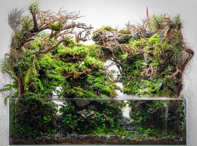 Paludarium
