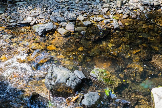 Biotope