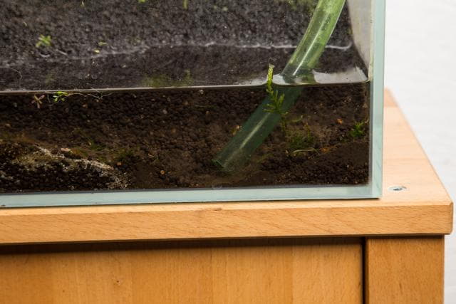 Siphoning off the substrate