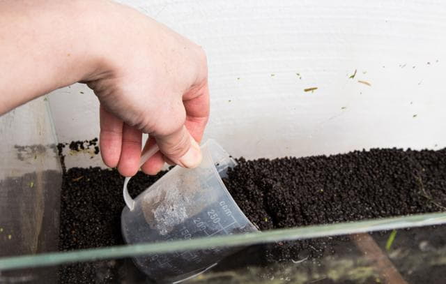 Removing the substrate