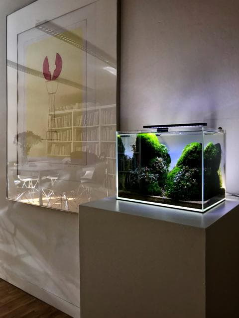 Tono Dressen - Nano Aquarium