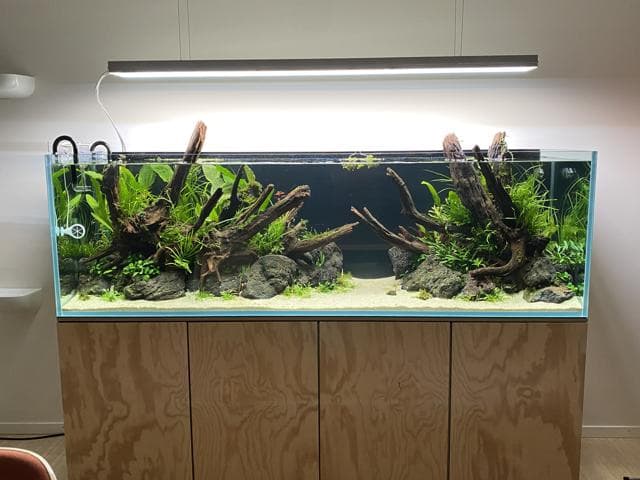 Fully planted