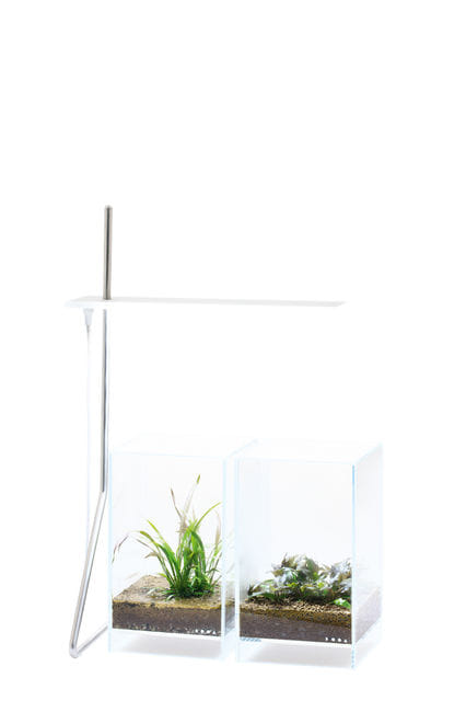 SOL Stand G über 2 Aquarien