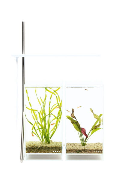 SOL Stand G über 2 Aquarien