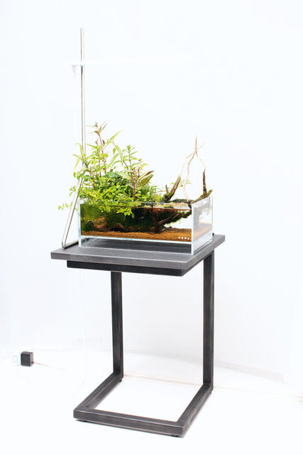 SOL Stand G und Aquaterrarium