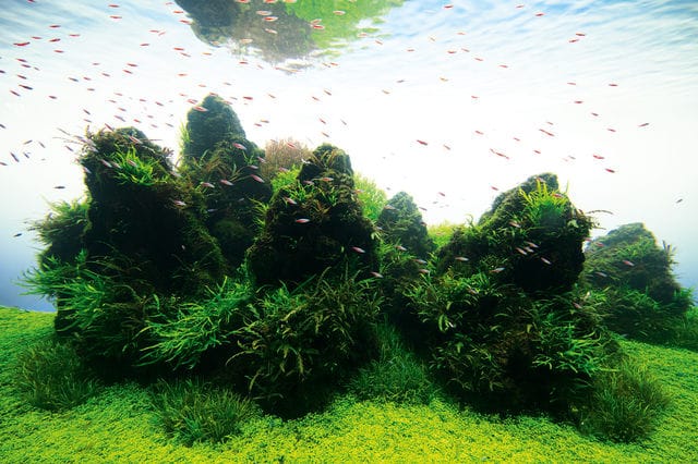 Sumida Aquarium