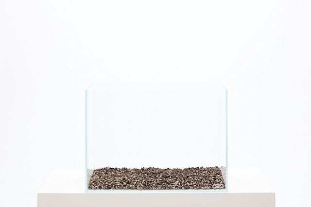Aqua Soil einbringen