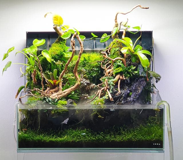 Fabian Beck - Paludarium
