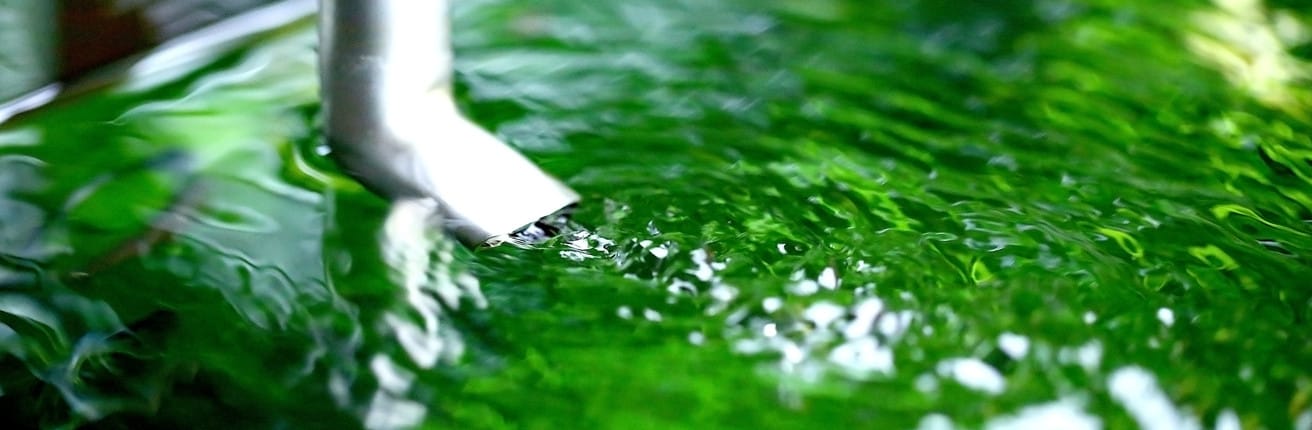 Filterdurchfluss im Aquarium