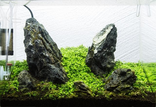 Mini M geflutet