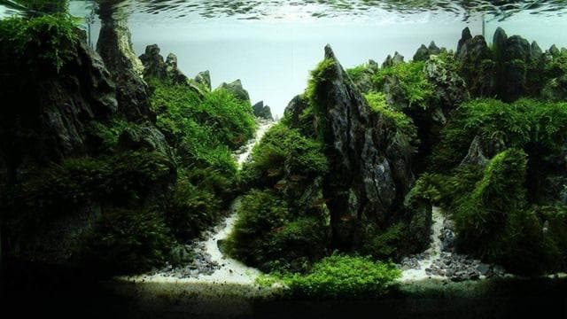 Mountain Scape
