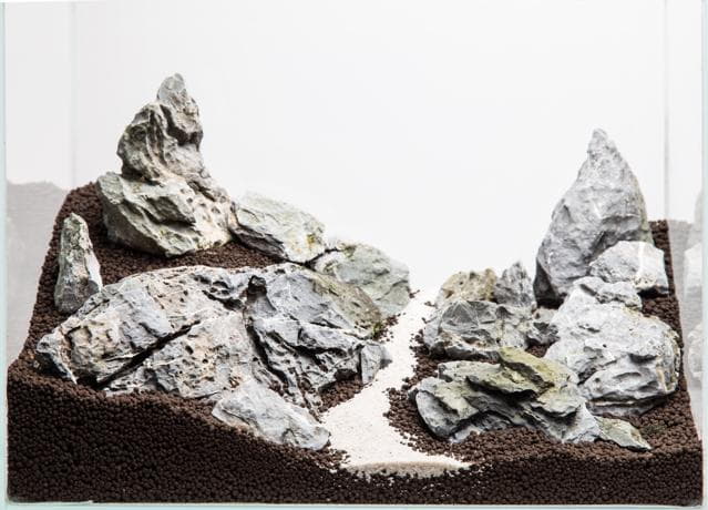 Aquascape mit Sandweg