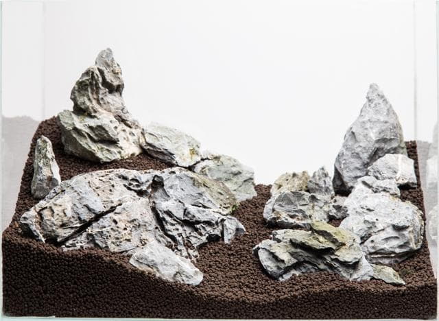 Aquascape ohne Sandweg