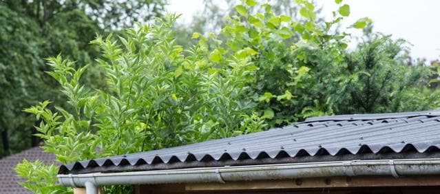 Rain gutter