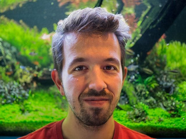 Stefan Graf