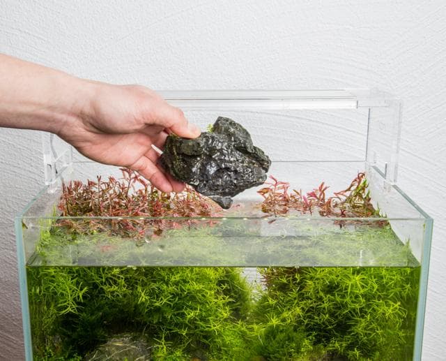 Removing the hardscape