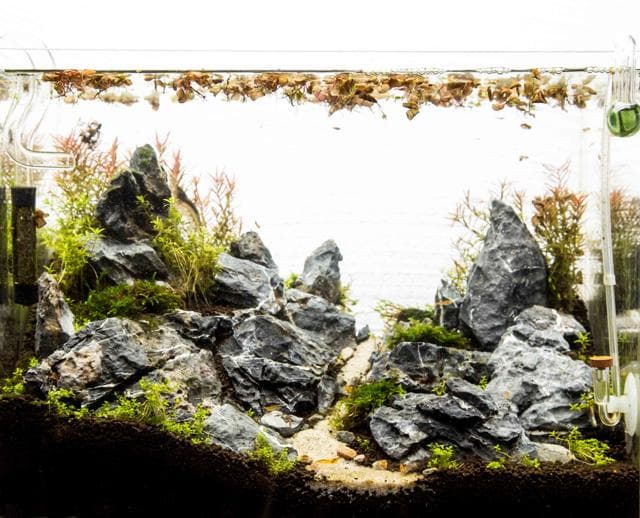 Mini M Update 1