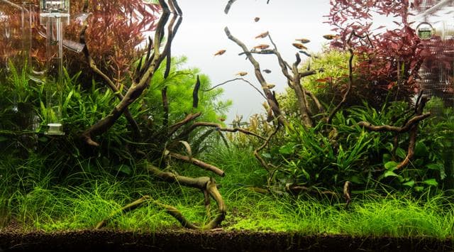 12 Wochen Update