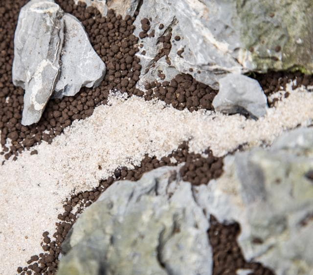 Aquascape mit verklebtem Sandweg