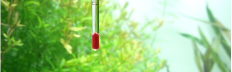 Thermometers