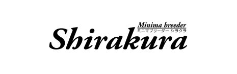 Shirakura