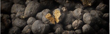 NEO Soil