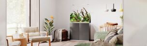 Aquariums