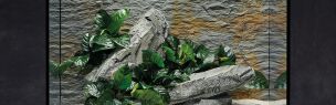 Aquarium decoration