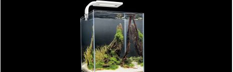 Aquarium