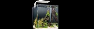 Aquarium