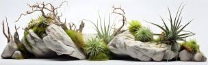 Terrascaping