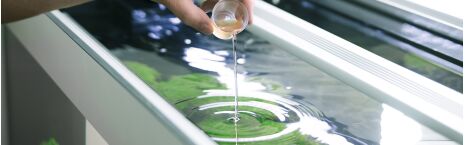 Wasserpflege