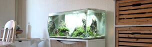 Aquarien