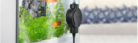 Pumps and Accessories