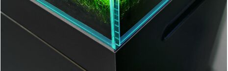 White-Glass Aquarium