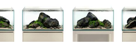 Aquarium