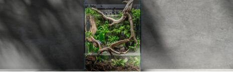 Paludarium