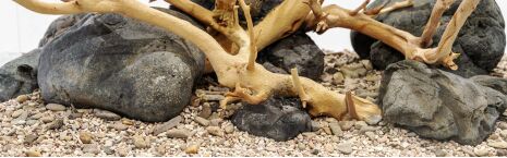 Hardscape