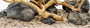 Hardscape