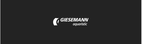 Giesemann
