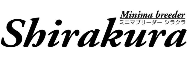 Shirakura