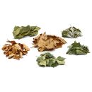 6er Leaves Mix - Nano