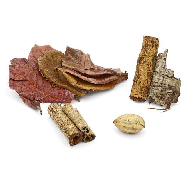 Seemandelbaum-Set