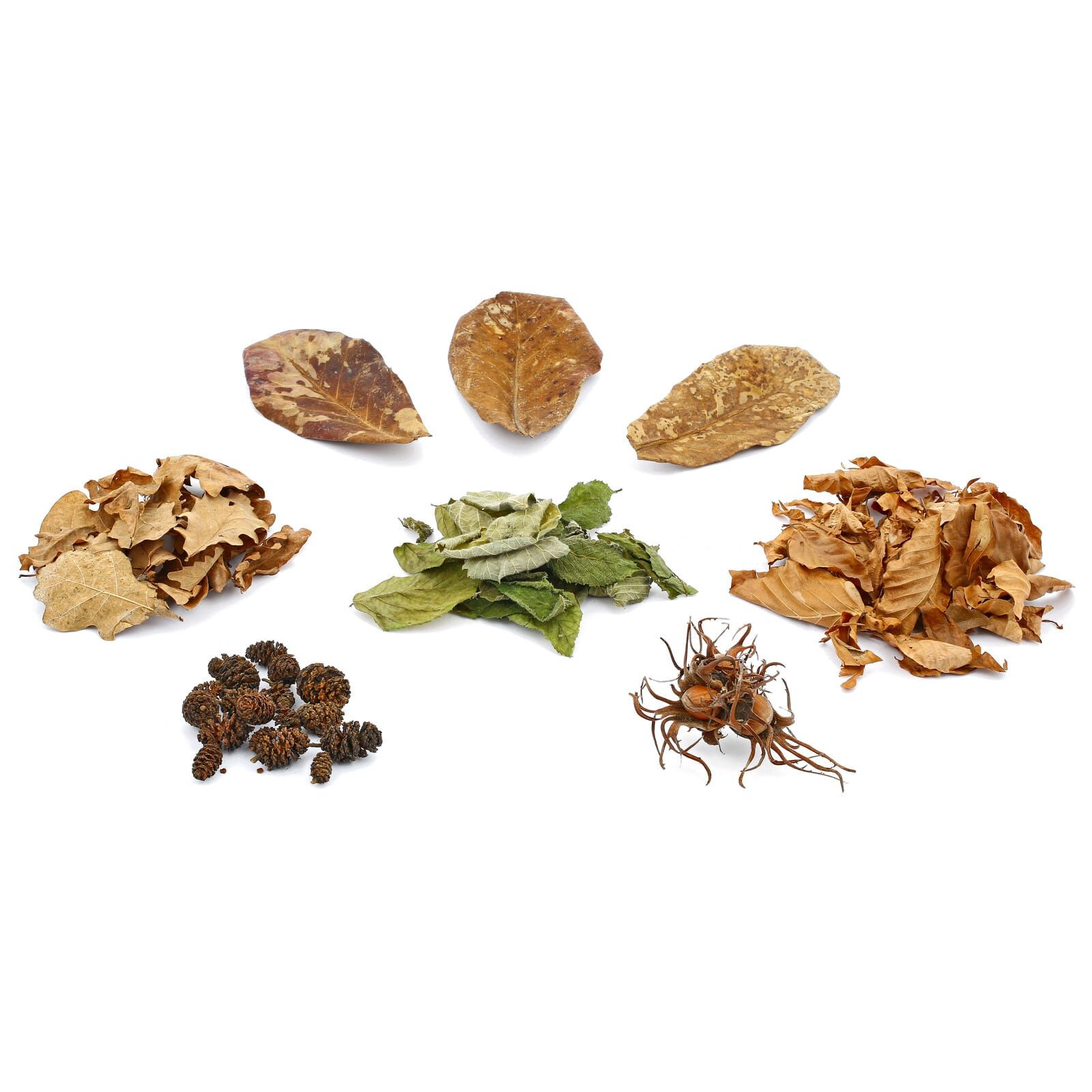 Nano Set Natural Products - 6 pieces