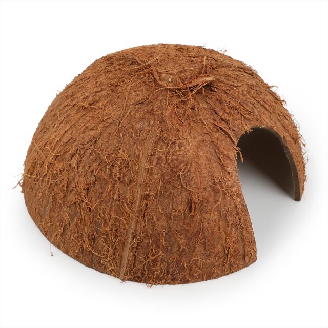 Kokosnusshalbschale