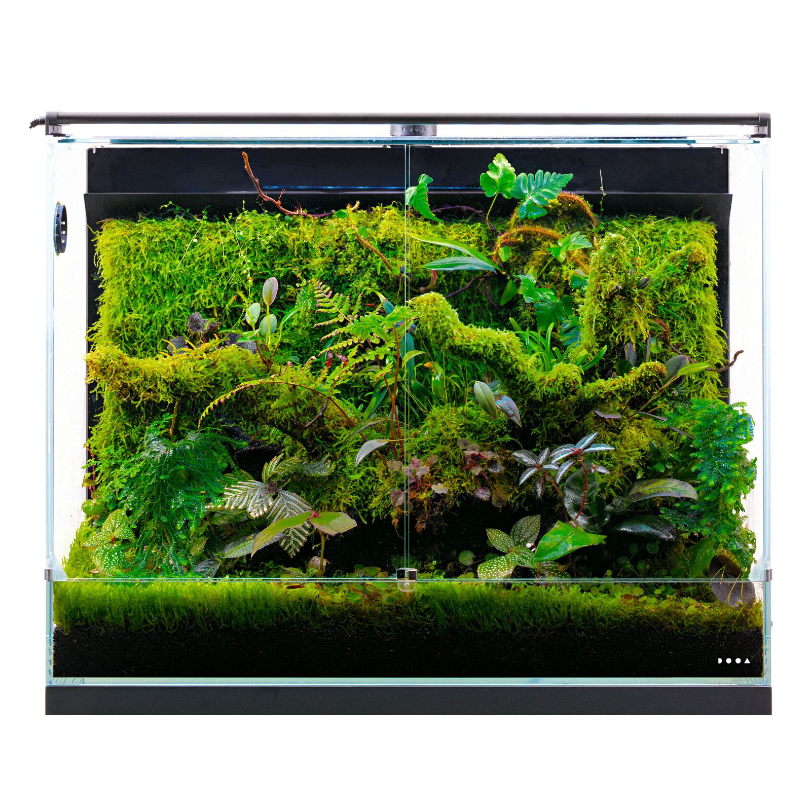 DOOA Aquaterrarium